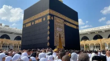 تطورات صحية طارئة بشأن فيروس إيبولا وفيروس هانتا بين صفوف الحجاج